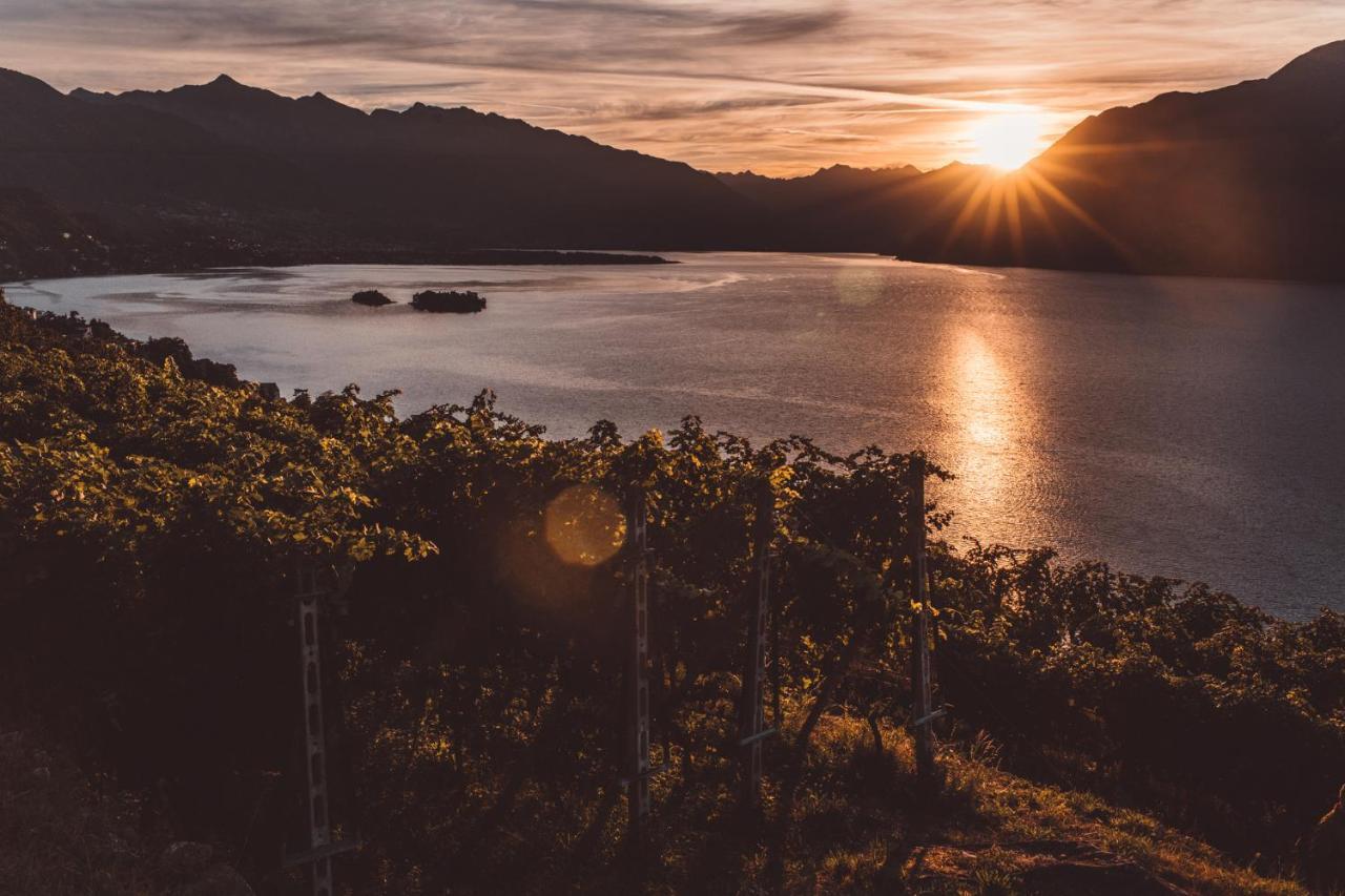 Hotel Villa Emden Brissago Exterior photo